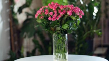 Çiçek buketi ışınları ışık, döndürme, çiçek kompozisyon içinde gül, ilahi güzellik oluşur. arka planda bir sürü yeşillik