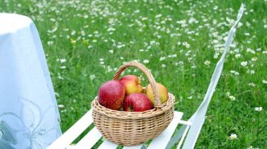 Bir çiçekli papatya alan çim ortasında bir sepet içinde güzel kırmızı elmalar