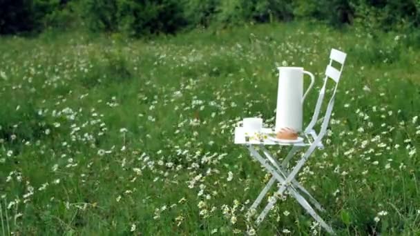 Zwischen dem Kamillenrasen steht ein weißer Stuhl. Darauf befindet sich eine Komposition aus einer weißen Kanne, einer weißen Tasse mit Tee, einem Brot und einem Strauß Kamillen. — Stockvideo
