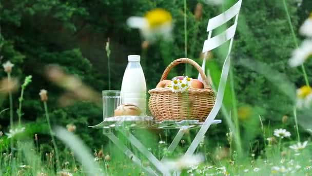 В середине ромашкового газона, на белом стуле бутылка молока, корзина яблок и хлеба — стоковое видео