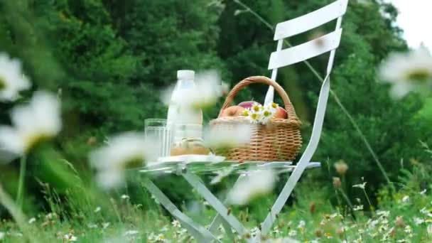 В середине ромашкового газона, на белом стуле бутылка молока, корзина яблок и хлеба — стоковое видео