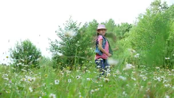 A fűben, a százszorszép a réten, tánc, ugrás, birtoklás móka, egy csinos lány, körülbelül hét év között. Ő hosszú, szőke haj, egy farmer mellény és a rózsaszín kalapot öltözött — Stock videók