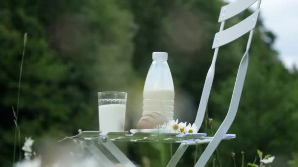 In the middle of a chamomile lawn, on a white chair is a bottle of milk, Also there is a glass of milk, and bread. Near is a bouquet of chamomiles — Stock Video