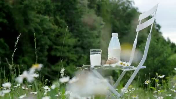 In der Mitte eines Kamillenrasens steht auf einem weißen Stuhl eine Flasche Milch, dazu ein Glas Milch und Brot. in der Nähe liegt ein Strauß Kamillen — Stockvideo