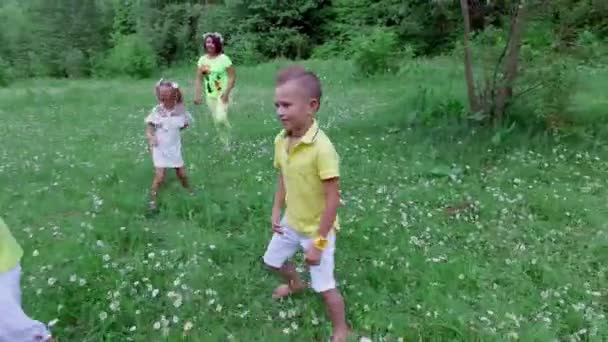 Los niños junto con sus madres están jugando con la pelota en el prado de manzanilla, cerca del bosque. Se divierten. Verano, al aire libre, en el bosque. Vacaciones con niños — Vídeo de stock