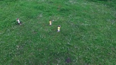 Aero, video yukarıdan çekim. Ormanın yakınında papatya çayır üzerinde topla oynayan çocuklar anneleri ile birlikte. Eğleniyorlar. Summer, açık havada, ormanda. İle tatil