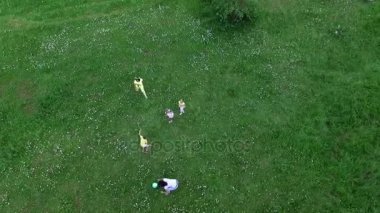 Aero, video yukarıdan çekim. Ormanın yakınında papatya çayır üzerinde topla oynayan çocuklar anneleri ile birlikte. Eğleniyorlar. Summer, açık havada, ormanda. İle tatil