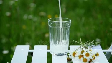 Yakın çekim. Yavaş aşağı. Süt bir cam kabı dökün. Yanında bir demet papatya yatıyor. Arka planı yeşil papatya çayır olduğunu