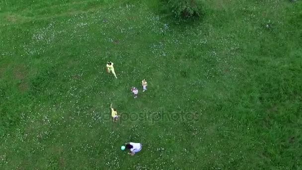 Aero, video fotografování z nadhledu. Děti společně se svými matkami se hraje s míčem na heřmánkový louka nedaleko lesa. Mají zábavu. V létě venku, v lese. Dovolená s — Stock video