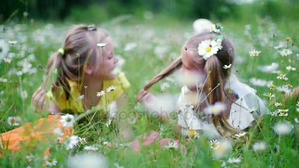 Na grama, em margaridas, em um prado, duas loiras, meninas bonitas, crianças, conversando, deitado na grama. Dois amigos. Eles divertem-se. Verão, ao ar livre, na floresta. Férias com crianças — Vídeo de Stock