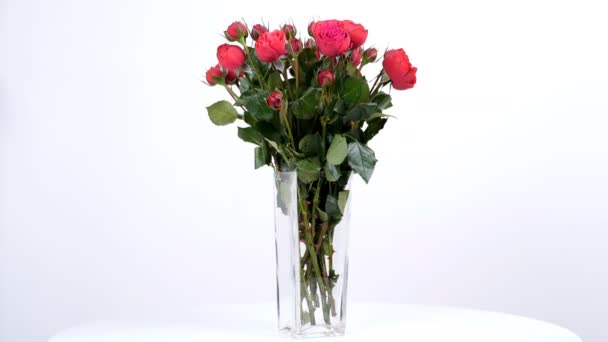 Çiçek, buket, rotasyon arka plan beyaz, pion şeklindeki bordeaux gül çiçek kompozisyon oluşur — Stok video
