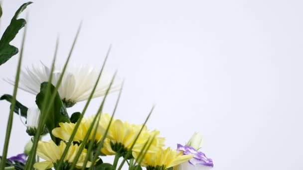 Gros plan, Fleurs, bouquet, rotation sur fond blanc, composition florale composée de Vanda orchidée, Chrysanthème, Santini, gypsophila, Alstroemeria, aspidistra, Russe , — Video