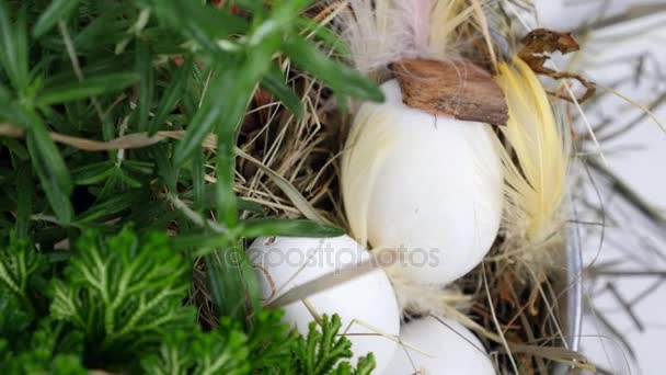 Γκρο πλαν, άποψη από πάνω, περιστροφή, φλοράλ σύνθεση Πάσχα σε ρουστίκ στιλ, αποτελείται από αυγά, τα φτερά, πράσινο φυτά, άχυρο, ξερά χόρτα — Αρχείο Βίντεο