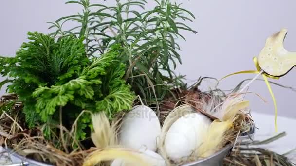 Auf weißem Hintergrund, Rotation, florale Osterkomposition im rustikalen Stil, bestehend aus Eiern, Federn, grünen Pflanzen, Stroh, trockenem Gras — Stockvideo