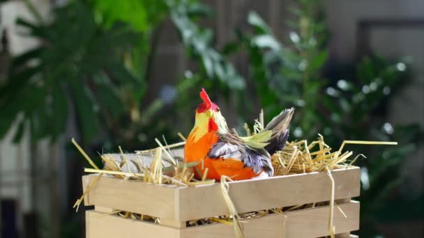 Rotation, La composition festive de Pâques dans les rayons de lumière, Dans une boîte en bois, dans une paille, il y a une petite poule, à côté des œufs pondus. en arrière-plan beaucoup de verdure — Video