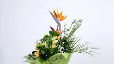 Beyaz arka planda, döndürme, çiçek buketi çiçek kompozisyon STERLİÇYA, Kasımpatı, Phalaenopsis orkide oluşur..