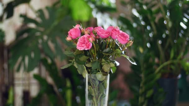 Buquê de flores nos raios de luz, rotação, a composição floral consiste em rosas rosa em forma de pião. Beleza divina. no fundo um monte de vegetação . — Vídeo de Stock