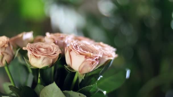 Γκρο πλαν, ανθοδέσμη λουλουδιών στις ακτίνες του φωτός, περιστροφή, φλοράλ σύνθεση αποτελείται από καπουτσίνο τριαντάφυλλα. Θεϊκή ομορφιά. στο βάθος μια πολύ πράσινο. — Αρχείο Βίντεο