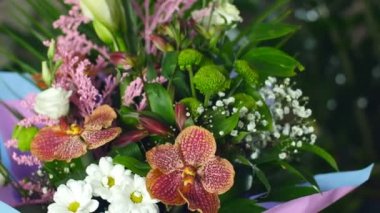 ışık, döndürme, ışınları, yakın çekim, çiçek buketi çiçek kompozisyon oluşur orkide vanda, krizantem bacardi, solidago, Eustoma, Alstroemeria, Santini, gypsophila, Russus, Phoenix