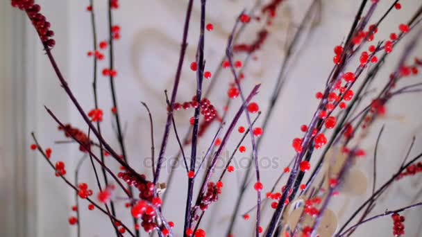 V šeru, na bílém pozadí, potulný paprsky světla větví s scarlet jahody. Dekorativní prvek v flower shop-studio