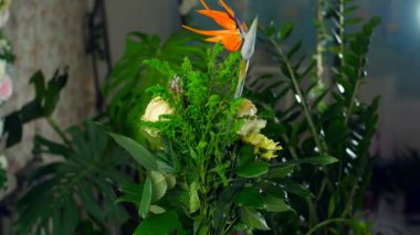 Işık, döndürme, ışınları içinde çiçek buketi çiçek kompozisyon oluşur STERLİÇYA, çığ, gül solidago, Protea, Brunia yeşil, Kasımpatı, aspidistra