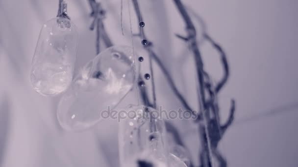 In the twilight, on the ceiling of the studio, glass figures, filled with white feathers and berries, hanging on black branches, wobble. A black-white frame. Decor element — Stock Video