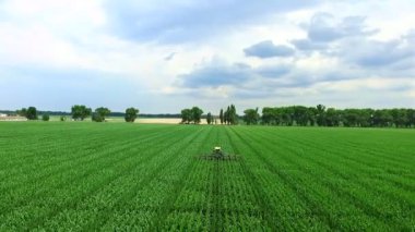 Mısır sahada bir traktör, ayrıştırır, Mısır, mısır tarlası verimini artırma yanal genç sürgünler kaldırır bir makine var. Mısır ekimi. Yaz güneşli day.aerial video