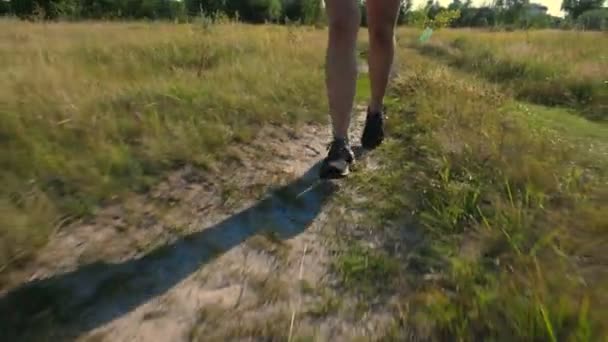 Close-up, womens benen in zwarte sneakers lopen langs de weide pad, onder groen gras, in de buurt van bos, tegen de blauwe hemel, bij zonsondergang, in zonnestralen — Stockvideo