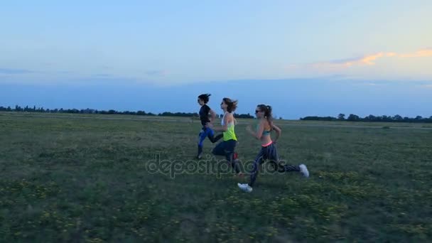 Hermosa, atlética, las mujeres jóvenes en gafas de sol, en mallas,, correr sincrónicamente a lo largo de la pradera verde, campo. En verano, trotar, atardecer , — Vídeos de Stock