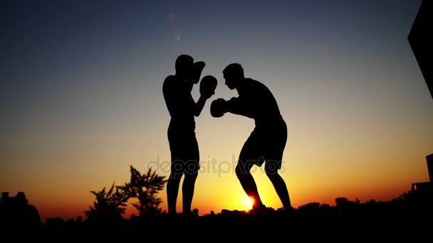 Deux figures masculines sombres, au lever du soleil, contre la lumière, la boxe, le combat au combat, l'entraînement à une paire de techniques de frappe. Sur la plage de sable, dans le port de chargement, près de l'eau, en été — Video