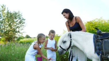 Çocuklar, bir erkek ve bir kız yedi yıl, beyaz bir midilli hediye beslenen havuç yemek ver. Neşeli, mutlu aile tatili. Forest yakınındaki yaz aylarında açık havada
