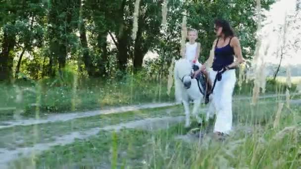 Bir kadın ve bir çocuk etrafında alanı yürüyor, oğlum bir midilli sürme, anne midilli a at başlığı için bekletme. Neşeli, mutlu aile tatili. Forest yakınındaki yaz aylarında açık havada — Stok video