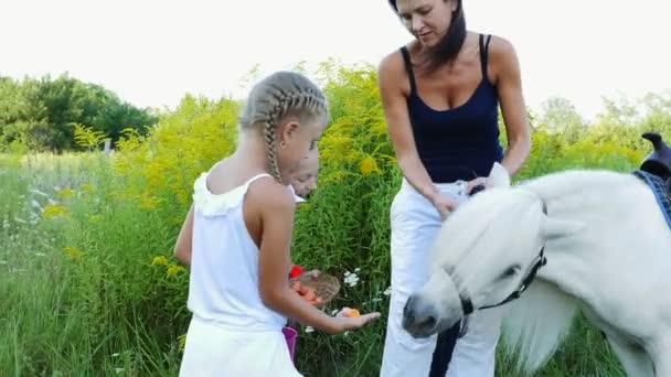Des enfants, un garçon et une fille de sept ans, nourris d'un poney blanc, donnent à manger des carottes. Des vacances joyeuses en famille. En plein air, en été, près de la forêt — Video