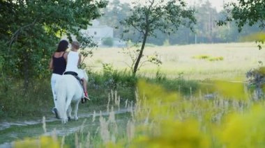 Bir kadın ve bir çocuk etrafında alanı yürüyor, oğlum bir midilli sürme, anne midilli a at başlığı için bekletme. Neşeli, mutlu aile tatili. Forest yakınındaki yaz aylarında açık havada