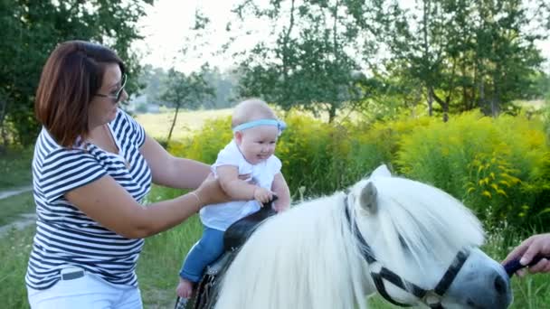 Une femme avec un bébé marche autour du champ, un bébé est assis sur un poney, maman tient le bébé. Des vacances joyeuses en famille. En plein air, en été, près de la forêt . — Video