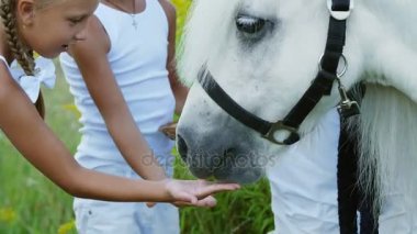 Çocuklar, bir erkek ve bir kız yedi yıl, beyaz bir midilli hediye beslenen havuç yemek ver. Neşeli, mutlu aile tatili. Forest yakınındaki yaz aylarında açık havada