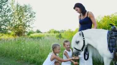 Çocuklar, bir erkek ve bir kız yedi yıl, beyaz bir midilli hediye beslenen havuç yemek ver. Neşeli, mutlu aile tatili. Forest yakınındaki yaz aylarında açık havada