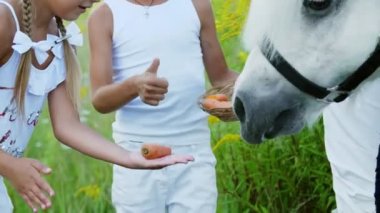 Çocuklar, bir erkek ve bir kız yedi yıl, beyaz bir midilli hediye beslenen havuç yemek ver. Neşeli, mutlu aile tatili. Forest yakınındaki yaz aylarında açık havada