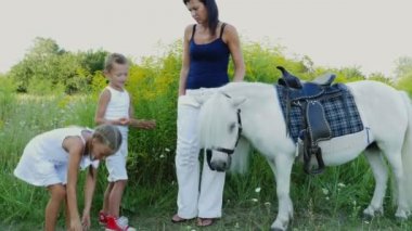 Çocuklar, bir erkek ve bir kız yedi yıl, beyaz bir midilli hediye beslenen havuç yemek ver. Neşeli, mutlu aile tatili. Forest yakınındaki yaz aylarında açık havada