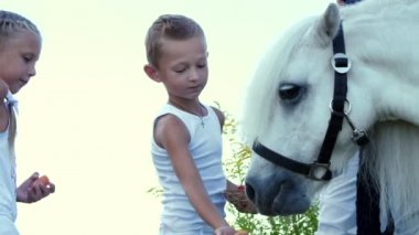 Çocuklar, bir erkek ve bir kız yedi yıl, beyaz bir midilli hediye beslenen havuç yemek ver. Neşeli, mutlu aile tatili. Forest yakınındaki yaz aylarında açık havada