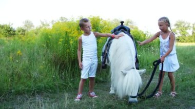 Çocuk, bir erkek ve bir kız yedi yıl, beyaz bir midilli hediye okşayarak. Neşeli, mutlu aile tatili. Forest yakınındaki yaz aylarında açık havada