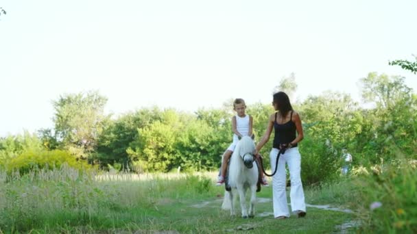 Жінка і хлопчик ходять по полю, син їде на поні, мати тримає поні за мотузку. Веселий, щасливий сімейний відпочинок. На відкритому повітрі, влітку, біля лісу — стокове відео