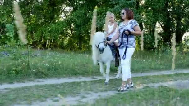 Anya és lánya járkálni a mező, lánya egy póni lovaglás, anya, aki egy póni, az egy kantár. Vidám, boldog családi nyaraláshoz. Nyáron, az erdő közelében a szabadban — Stock videók