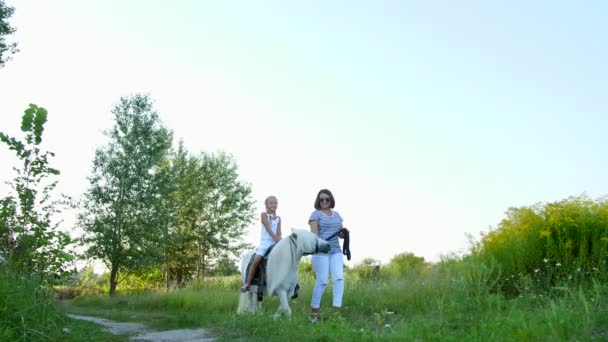 Mamma och dotter går runt fältet, dotter rider en ponny, mor håller en ponny för en betsel. Glad, lycklig familj semester. Utomhus på sommaren, nära skogen — Stockvideo