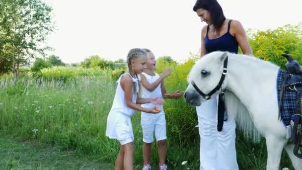 Anak-anak, anak laki-laki dan perempuan berusia tujuh tahun, memberi makan kuda putih, memberi makan wortel. Liburan keluarga bahagia dan ceria. Di luar ruangan, di musim panas, di dekat hutan — Stok Video