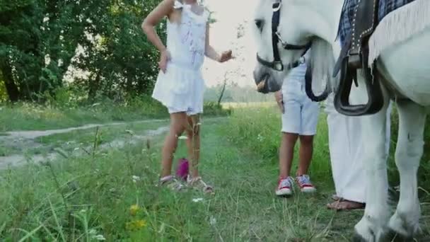 Niños, un niño y una niña de siete años, alimentados con un pony blanco, dan de comer zanahorias. Felices y alegres vacaciones en familia. Al aire libre, en verano, cerca del bosque — Vídeo de stock