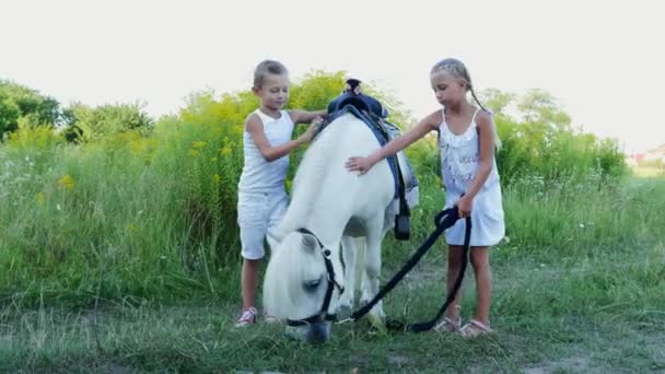 Діти, хлопчик і дівчинка семи років, погладжують білого поні. Веселий, щасливий сімейний відпочинок. На відкритому повітрі, влітку, біля лісу — стокове відео