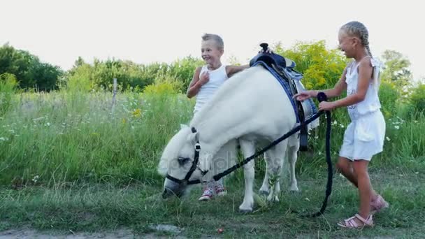 Діти, хлопчик і дівчинка семи років, погладжують білого поні. Веселий, щасливий сімейний відпочинок. На відкритому повітрі, влітку, біля лісу — стокове відео