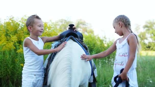 Gyermek, egy fiú és egy lány, hét év, egy fehér póni simogatta. Vidám, boldog családi nyaraláshoz. Szabadban, a nyár, az erdő közelében — Stock videók