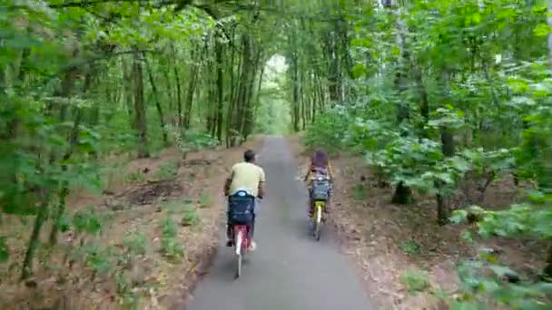 Семья, отец, мать в платье, с корзиной цветов, вместе с маленькими детьми, ездить на велосипедах, в лесу, летом. дети сидят на специальных стульях — стоковое видео